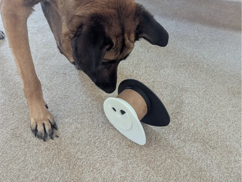 Pet/Dog Toy - Puzzle & Treat Toys, in stock