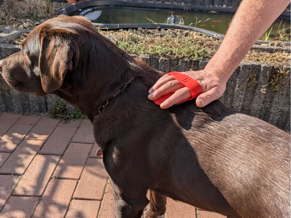 Pet Grooming Brush, Flexible & Effective!