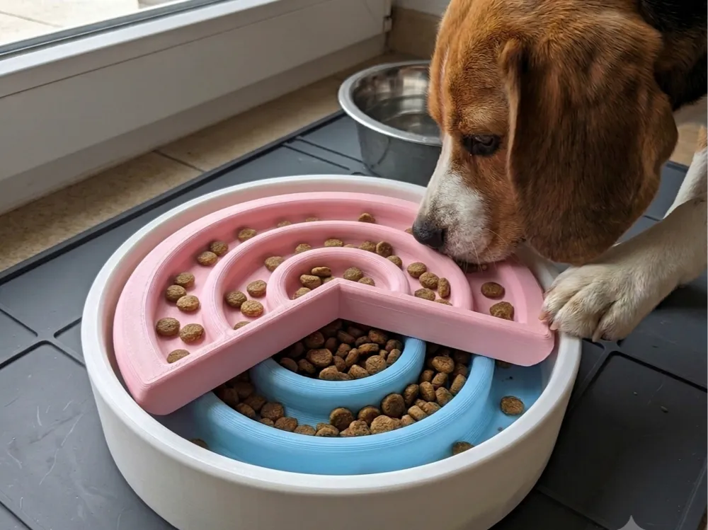 Pet puzzle slow feeder