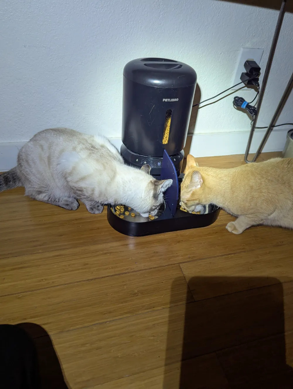 PetLibro Dual Cat Feeder Blinder Divider, photo 2 of 3 - PetLibro Dual Cat Feeder Blinder Divider Pets