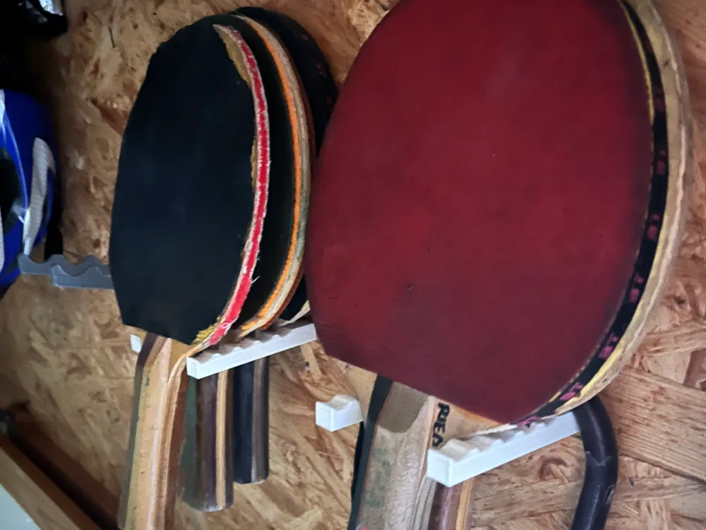 Ping Pong Paddle, Table Tennis Racket, Wall Mount - Sport & Outdoors, in stock in India