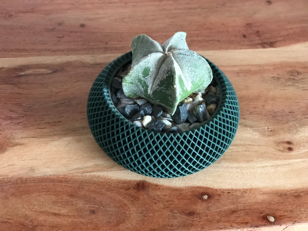 Plant Pot, photo 2 of 4 - Plant Pot Generative Art