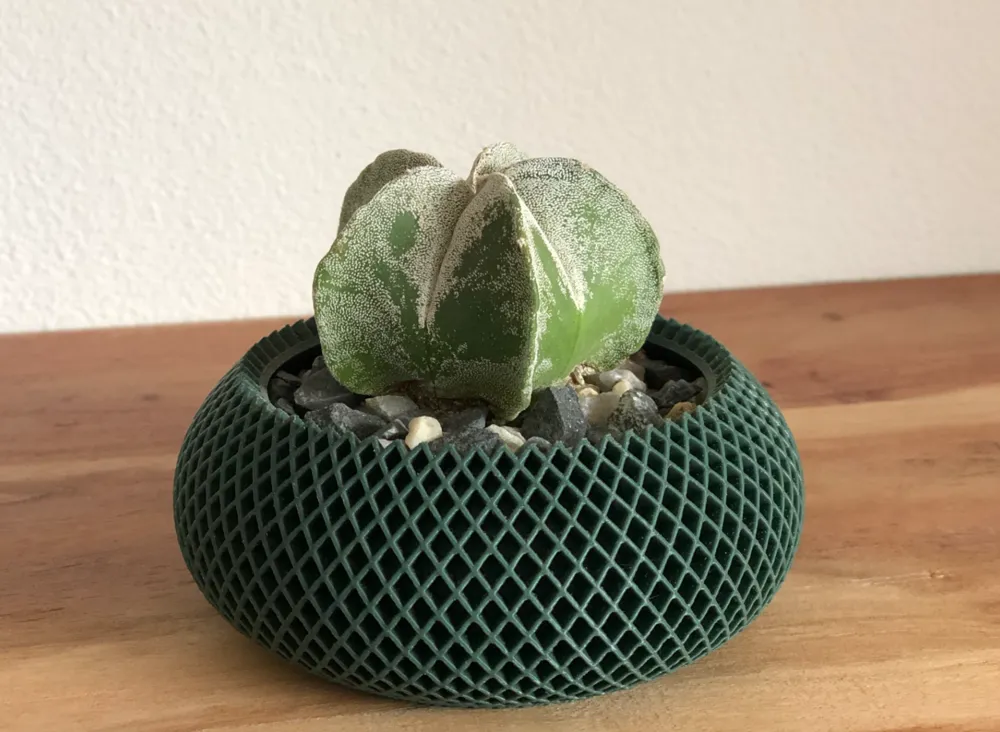 Plant Pot - Vases, in stock in India