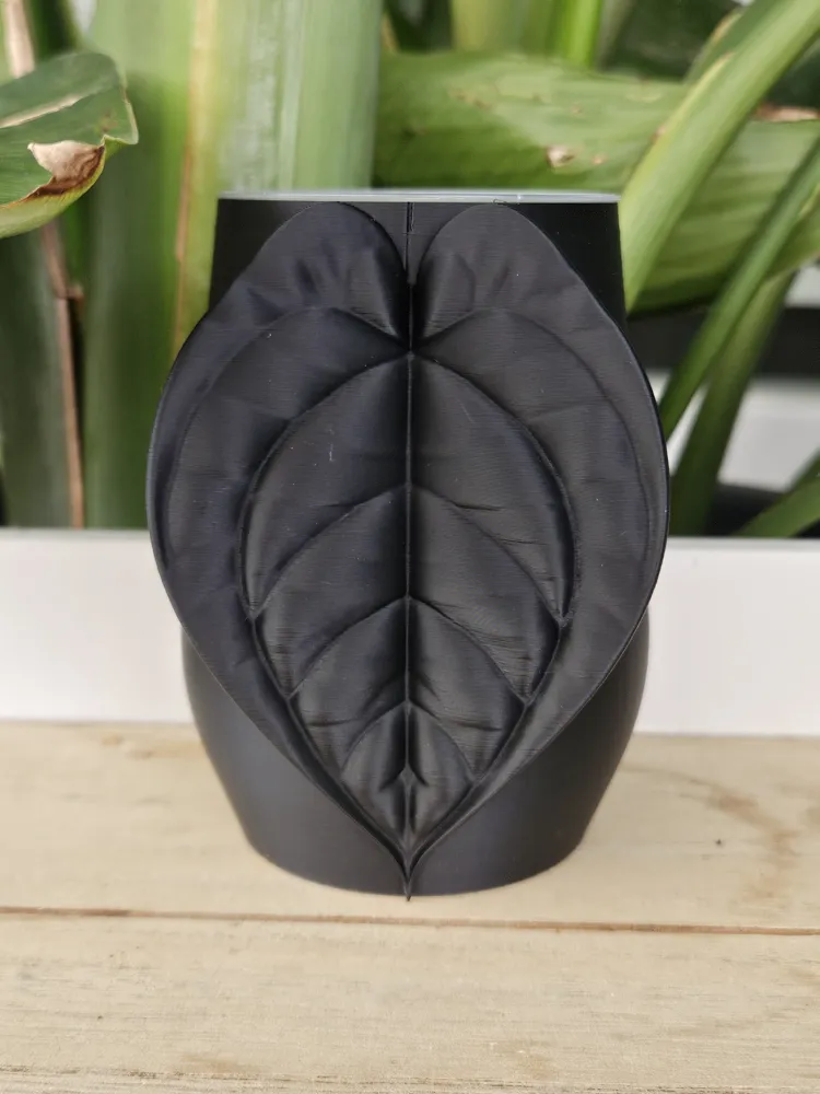 Plant pot with leaf design, photo 5 of 5 - Self-watering Planters, anthurie