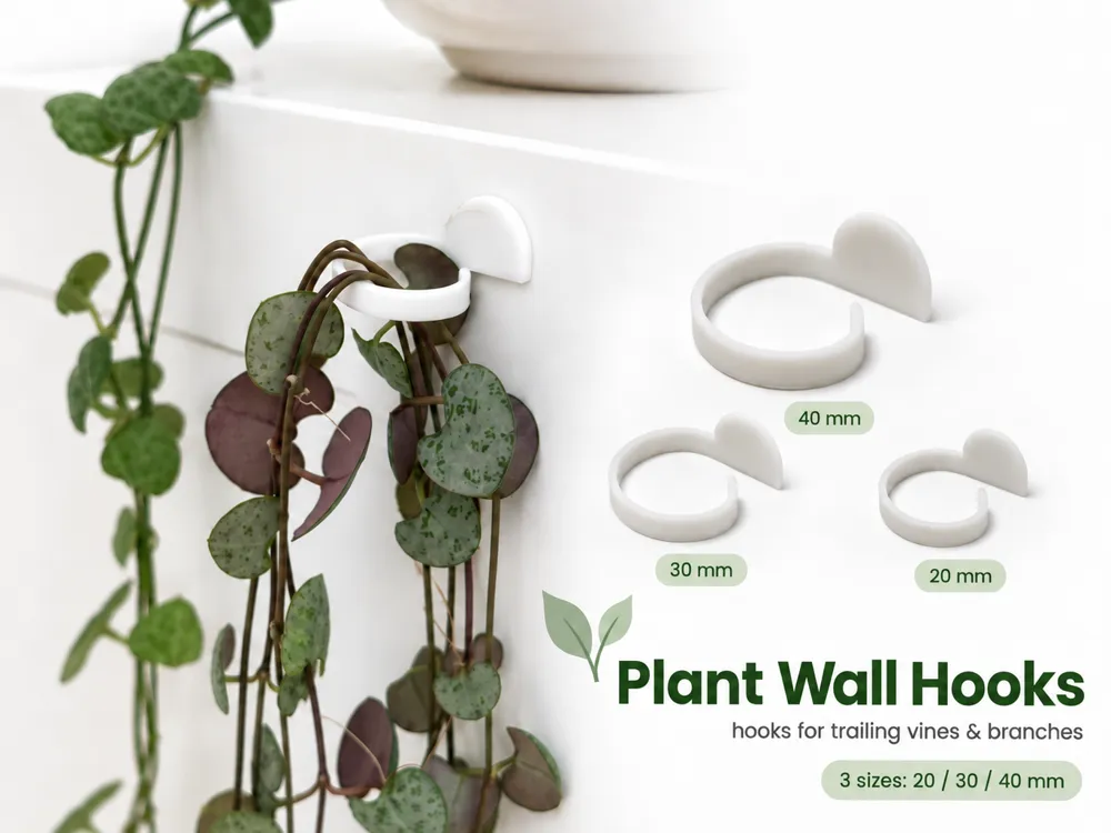 Plant Wall Hooks, for Trailing Vines & Branches - Decor, in stock in India