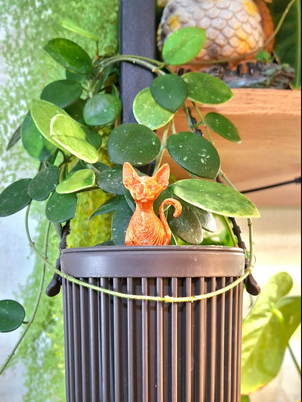 Planter_pin_cat_sphynx, photo 2 of 5 - Face & Character Planters, acsesories