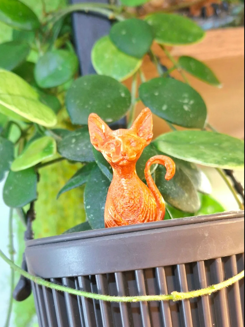 Planter_pin_cat_sphynx, photo 3 of 5 - Face & Character Planters, prop pins
