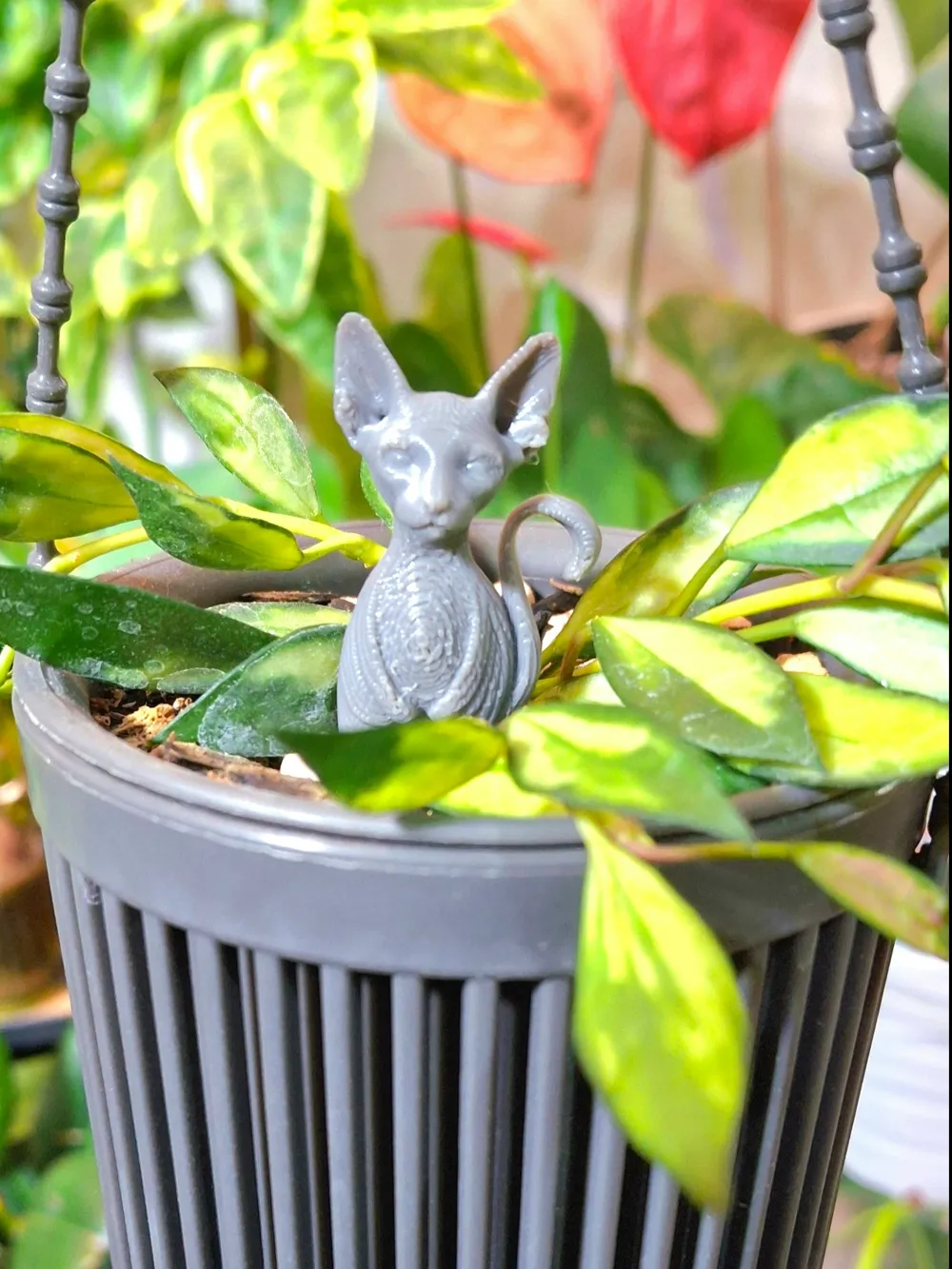 Planter_pin_cat_sphynx, photo 4 of 5 - Face & Character Planters, propagation
