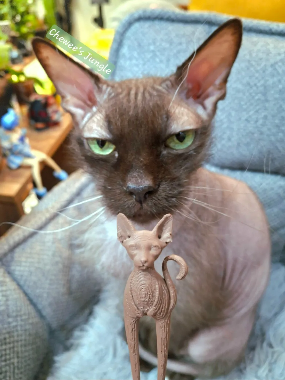 Planter_pin_cat_sphynx, photo 5 of 5 - Face & Character Planters, houseplantpin