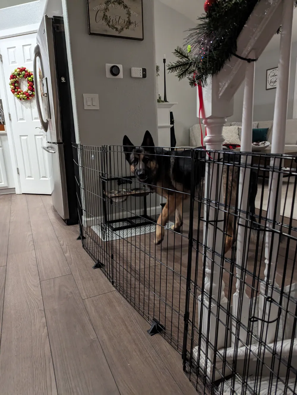 Playpen Stands/Guards - Anti-Scratch, photo 2 of 4 - Bird Toys, Perches & Swings, gate