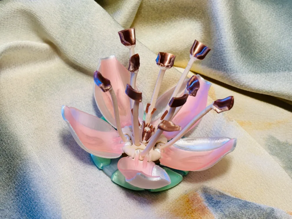 Plum Blossom Brooch of Hope, photo 4 of 4 - Plum Blossom Brooch of Hope Fashion