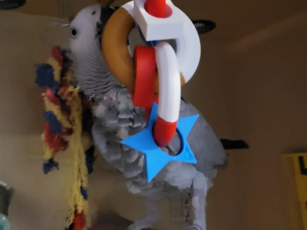 Podular Parrot Ring Toy - Interactive Bird Swing