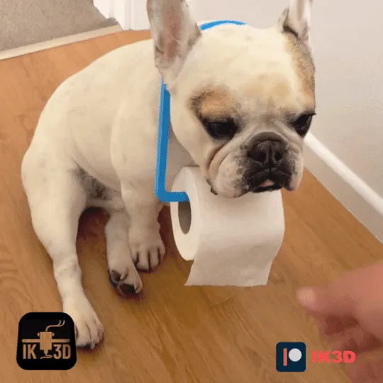 POOP PUP 2000 - NEVER RUN OUT OF TOILET PAPER AGAIN - Leash & Poop-bag Holders, in stock