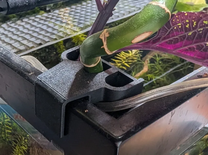 Pothos Pal V2 - Aquarium/Riparium Pothos Holder