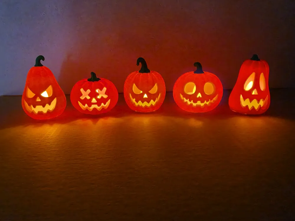 PUMPKIN GLOW, photo 2 of 4 - PUMPKIN GLOW Household
