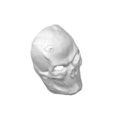 Punisher 3D scanned from Physcial Mask, another view - Skull Masks, cosplay