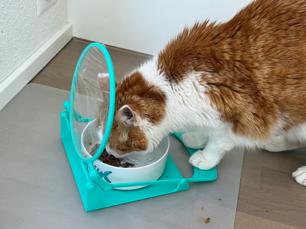 Purrfect PawLock, Paw‑Activated Fresh‑Seal Lid - Cat Bowls & Feeders, in stock
