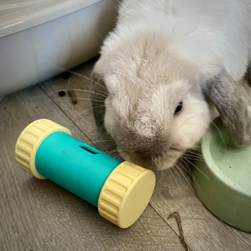 Rabbit / Hamster / Guinea Pig Feeder Toy Roller, photo 4 of 4 - Rabbit / Hamster / Guinea Pig Feeder Toy Roller Pets