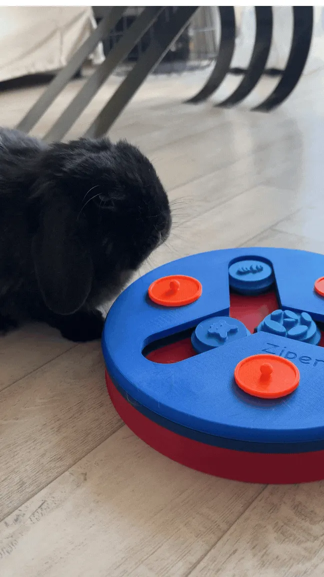 Rabbit Puzzle Feeder - Toy for Pet Enrichment - Wheels, Tubes & Small Pet Toys, in stock