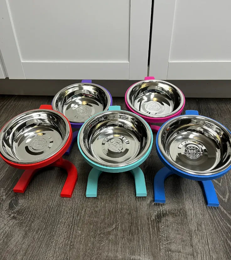 Raised Cat Pet Food Bowl, photo 2 of 4 - Cat Bowls & Feeders, cat bowl