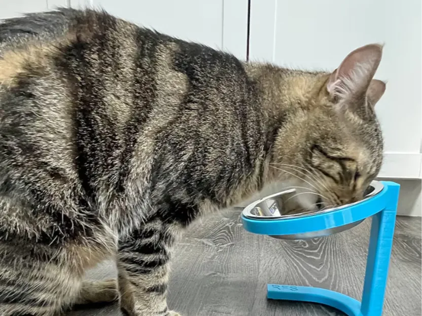 Raised Cat Pet Food Bowl, another view - Cat Bowls & Feeders, cat bowl stand