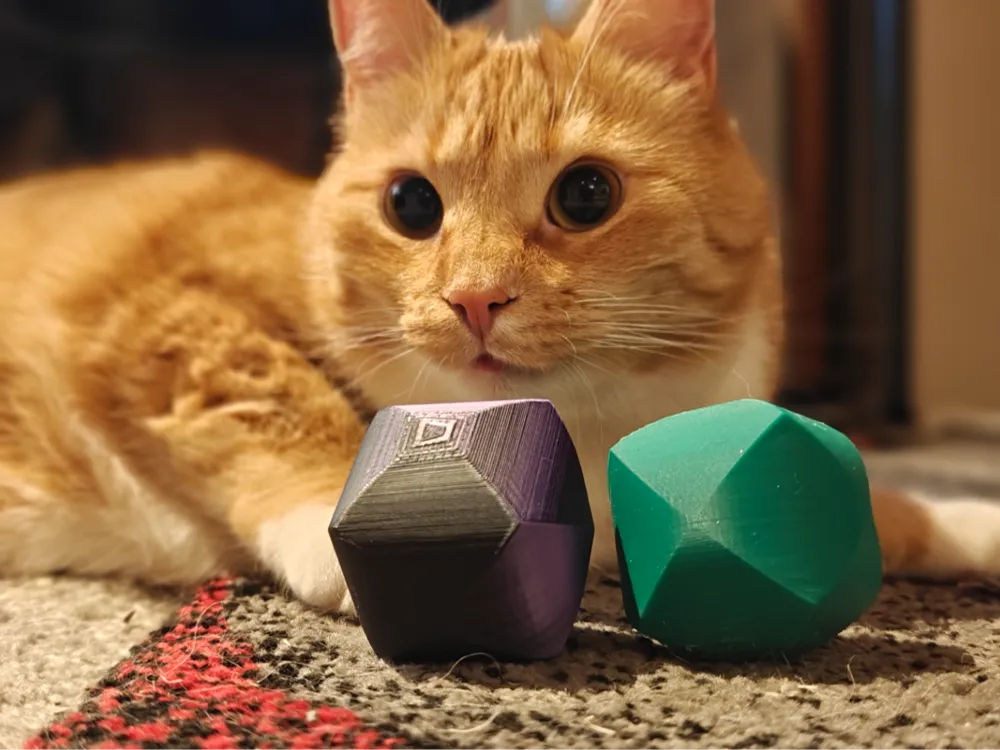 Rattling Cat toy