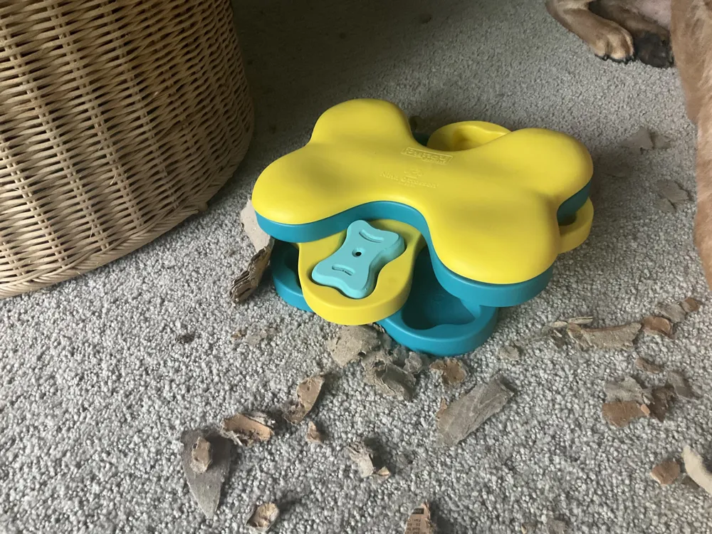 Replacement pieces for Nina Ottosson interactive treat puzzle dog toy - bone, "dog brick" lid, photo 3 of 4 - Replacement pieces for Nina Ottosson interactive treat puzzle dog toy - bone, "dog brick" lid Pets