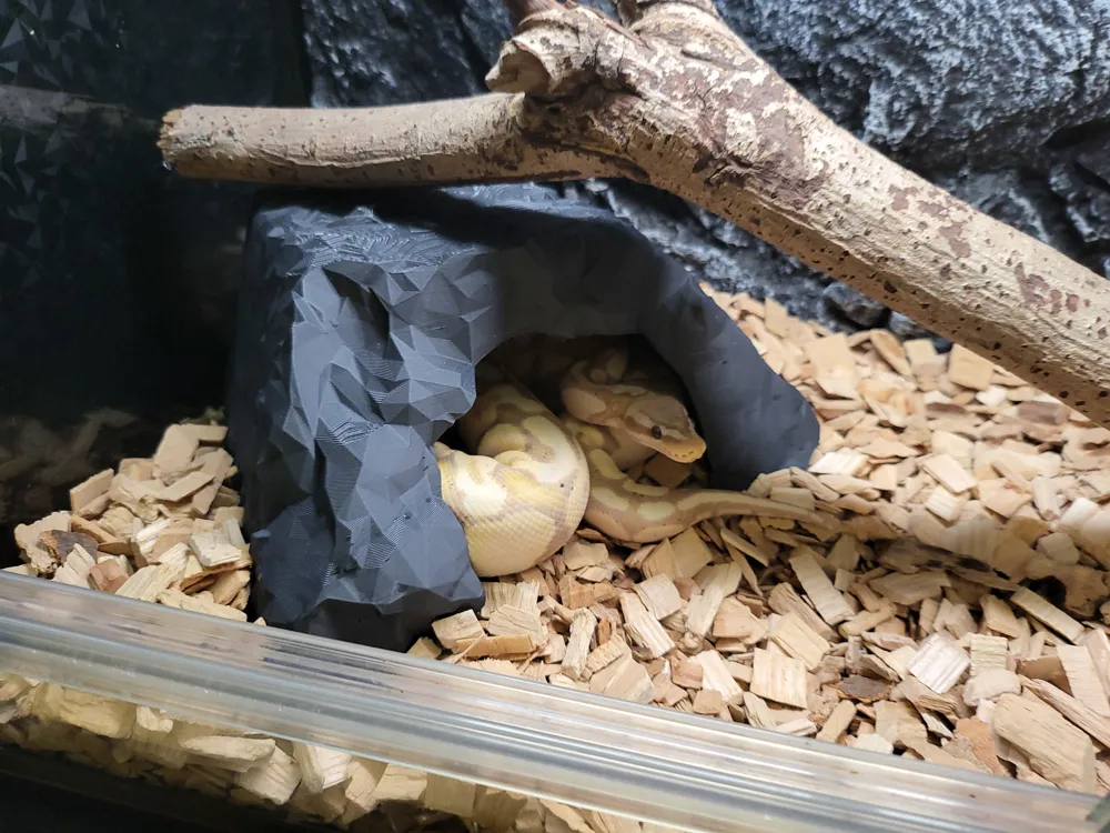 Reptile hide / cave, photo 4 of 4 - Reptile hide / cave Pets