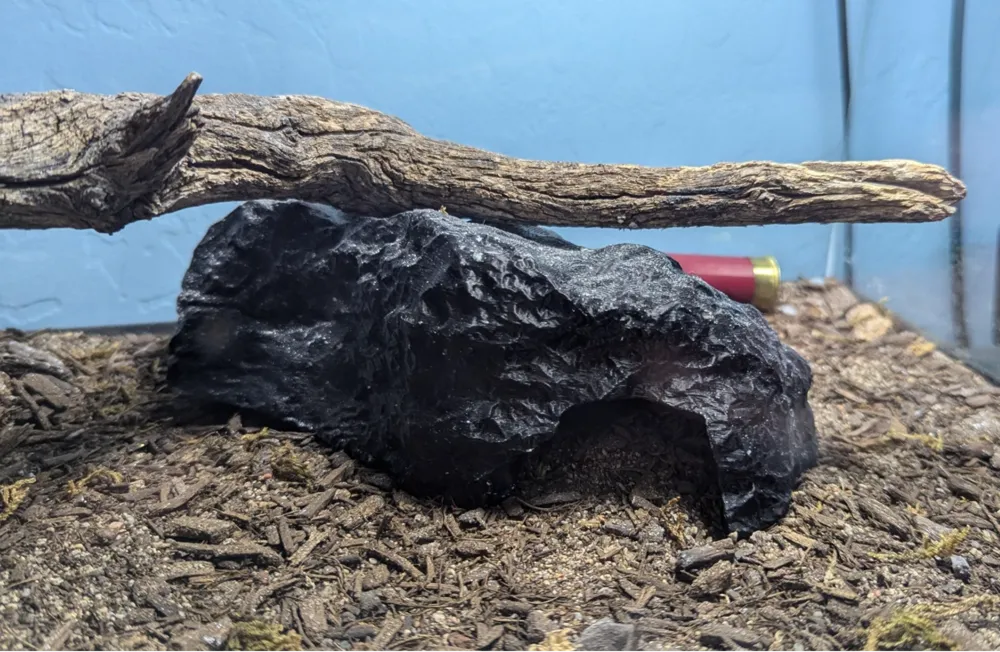 Reptile Hide, Rock Cave