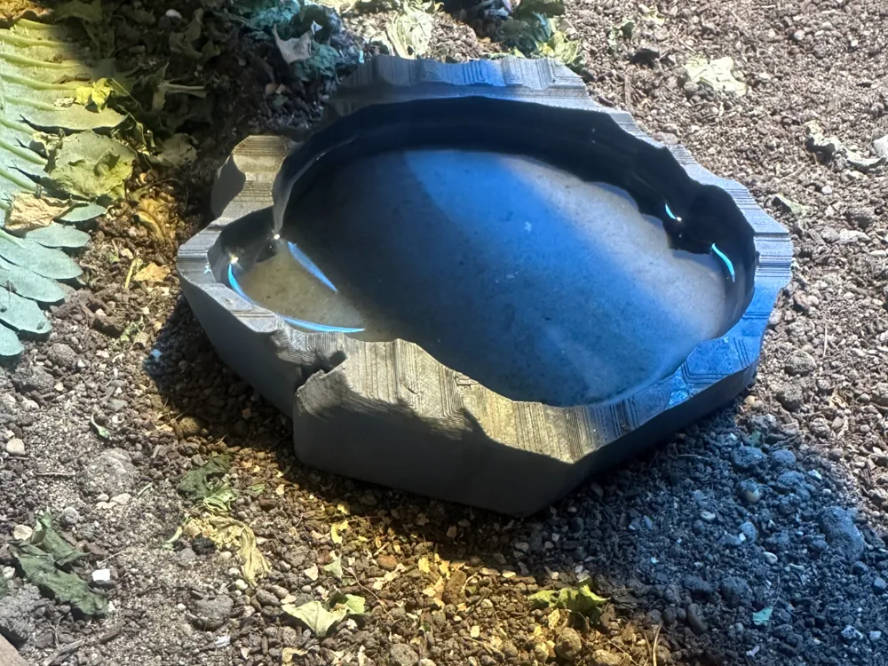 reptile lizard food water bowl dish, photo 3 of 4 - reptile lizard food water bowl dish Pets