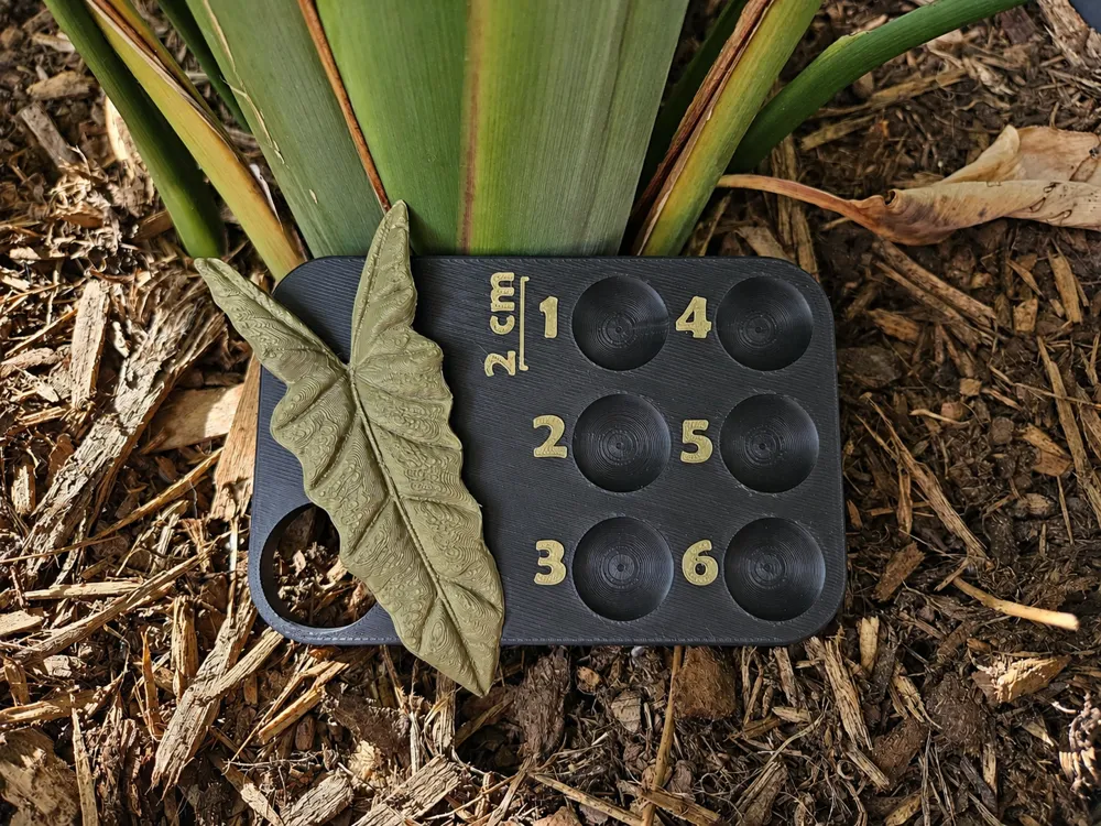 Rhizome Board with 2cm Scale, photo 3 of 4 - Rhizome Board with 2cm Scale Garden & Outdoor