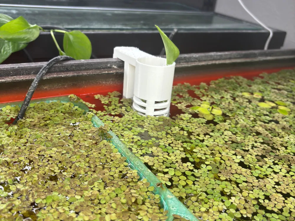 Rimmed Aquarium Plant Holder