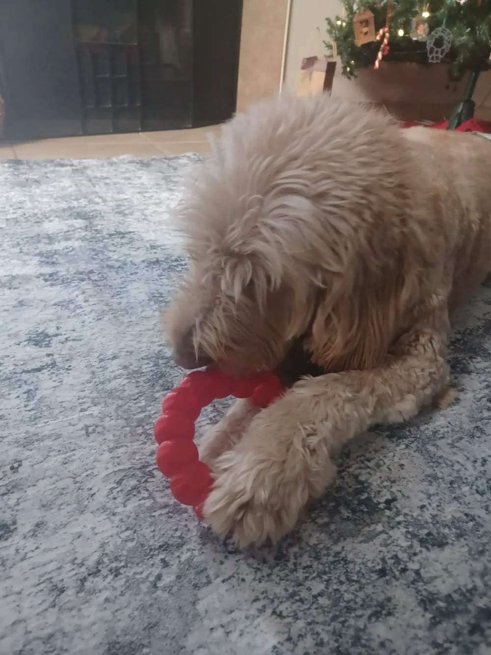 Ruff Ring TPU Dog Chew Toy Ring Large Scalable, photo 3 of 4 - Ruff Ring TPU Dog Chew Toy Ring Large Scalable Pets