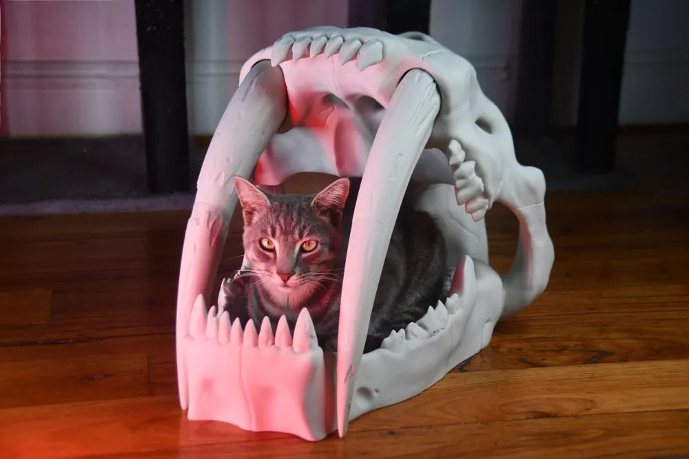 Saber Tooth Tiger Skull Pet Bed, photo 3 of 4 - Saber Tooth Tiger Skull Pet Bed Pets