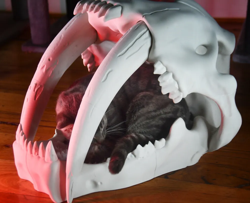 Saber Tooth Tiger Skull Pet Bed, photo 4 of 4 - Saber Tooth Tiger Skull Pet Bed Pets