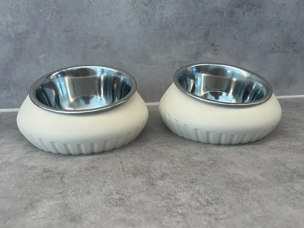 Scalabel tilted pet bowl holder for food and water, photo 2 of 4 - Pet Bowls & Feeders, cat