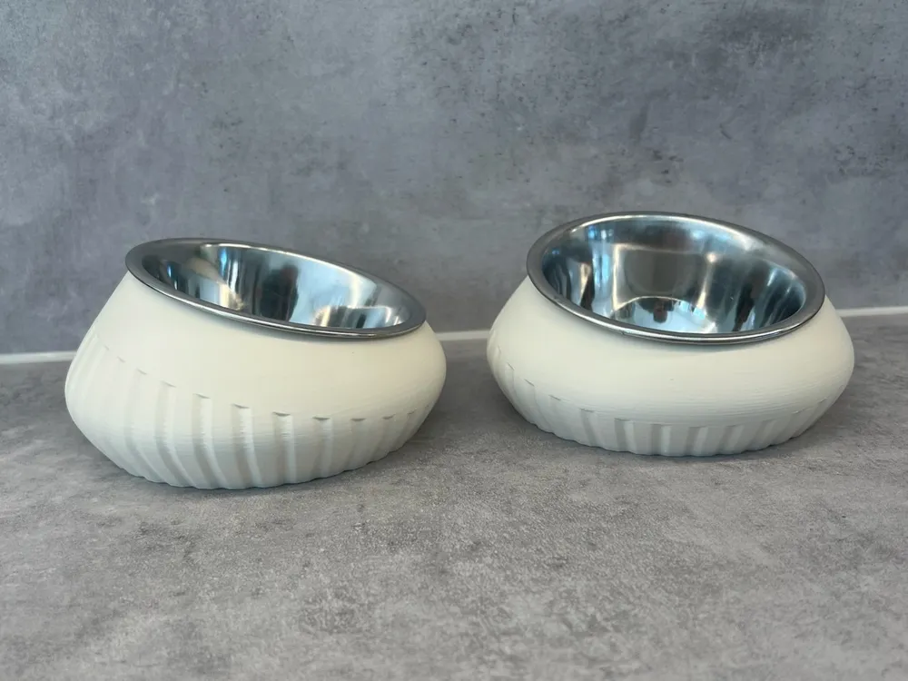 Scalabel tilted pet bowl holder for food and water