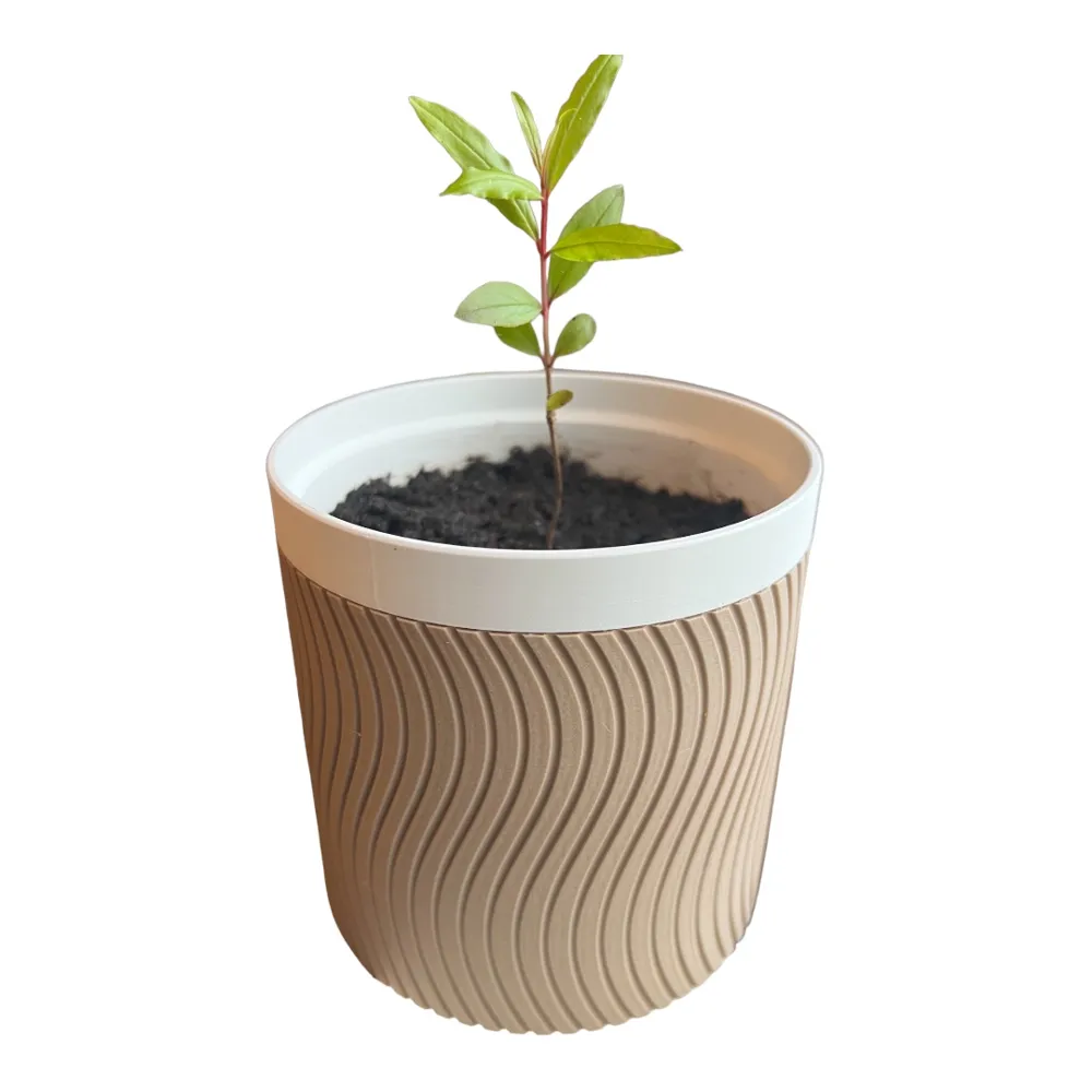 Self Water Flower Pot, another view - Succulent & Mini Planters, x1c