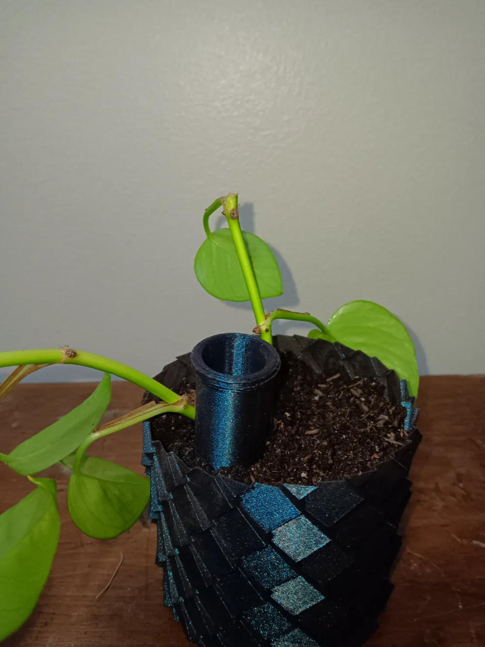 Self-waterer tube - Garden, in stock in India