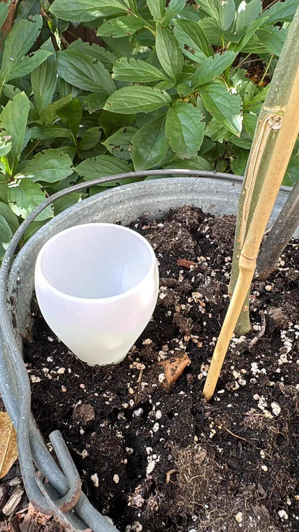 Self-Watering Plant Spike | Slow Drip Irrigation, photo 3 of 5 - Self-watering Planters, garden
