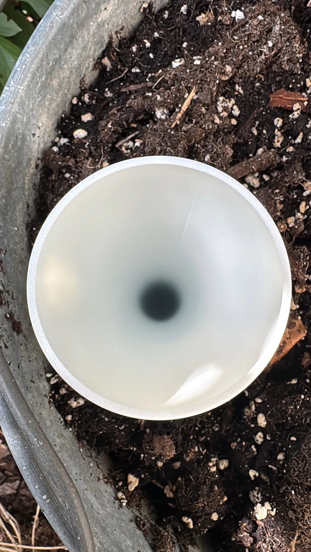 Self-Watering Plant Spike | Slow Drip Irrigation, photo 4 of 5 - Self-watering Planters, garden