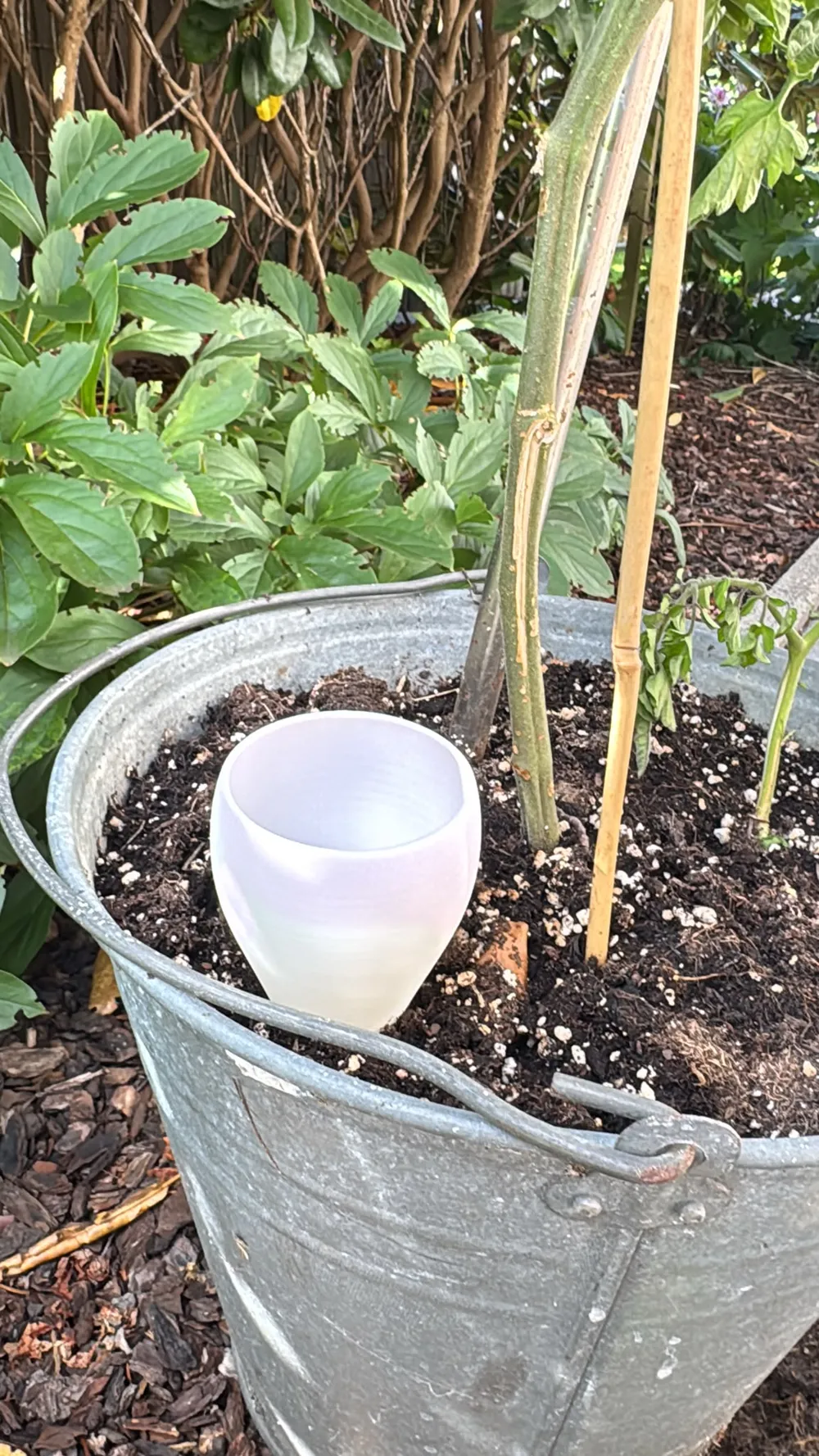 Self-Watering Plant Spike | Slow Drip Irrigation, photo 5 of 5 - Self-watering Planters, garden