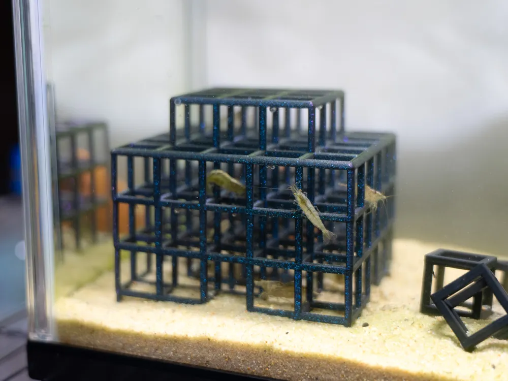 Shrimp Jungle Gym Shelter, Aquarium Decor, photo 3 of 4 - Shrimp Jungle Gym Shelter, Aquarium Decor Pets