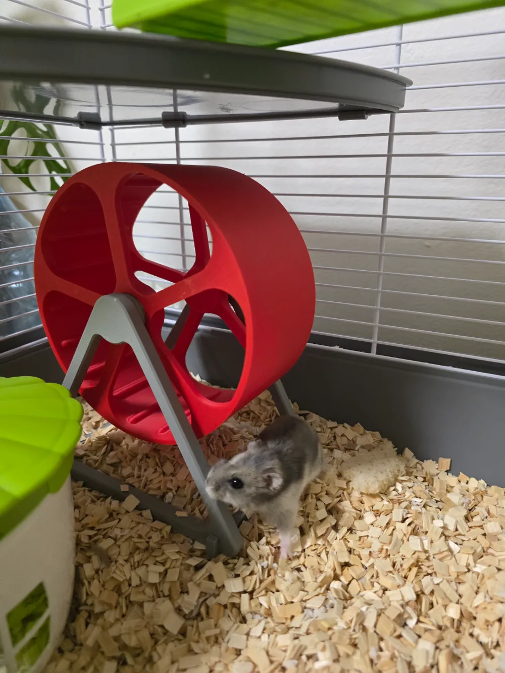 Silent Hamster Wheel, photo 3 of 4 - Silent Hamster Wheel Pets
