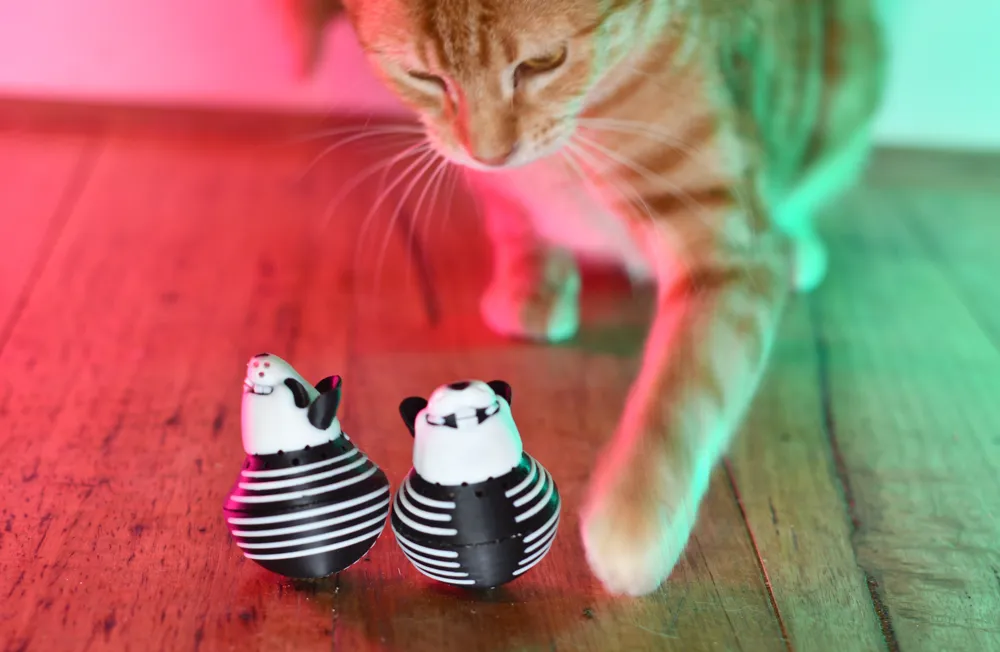 Skeleton Wobble Mouse Toy for Cats, photo 2 of 4 - Cat Toys, kitten