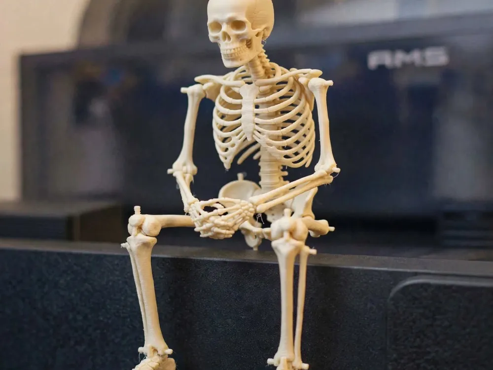 Skeleton_The Halloween supports challenge, photo 3 of 4 - Skeleton_The Halloween supports challenge Gifts & Occasions