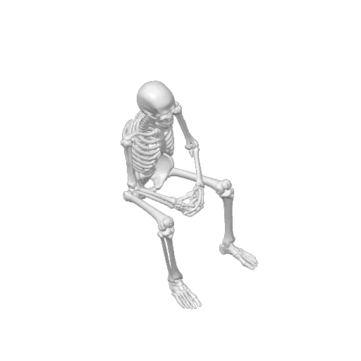 Skeleton_The Halloween supports challenge, photo 4 of 4 - Skeleton_The Halloween supports challenge Gifts & Occasions