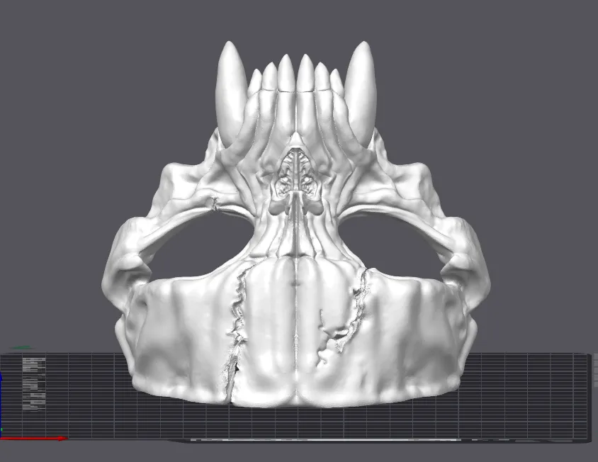 Skull Mask, photo 3 of 4 - Skull Masks, bones