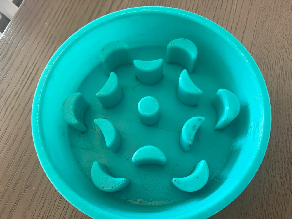 Slow Feeder Dog Bowl