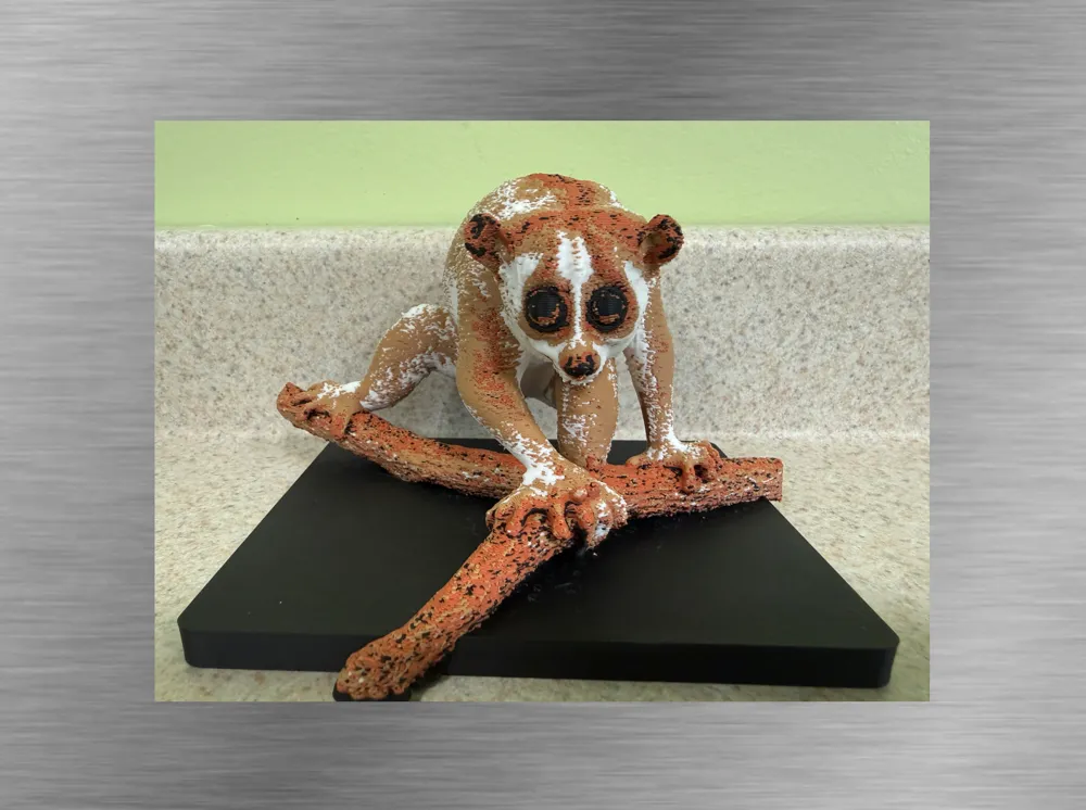 Slow Loris -Ultra-realistic Figure, photo 2 of 4 - Slow Loris -Ultra-realistic Figure Miniatures